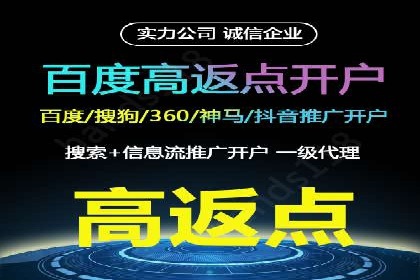 百度推广成功案例：打造行业领军品牌之路